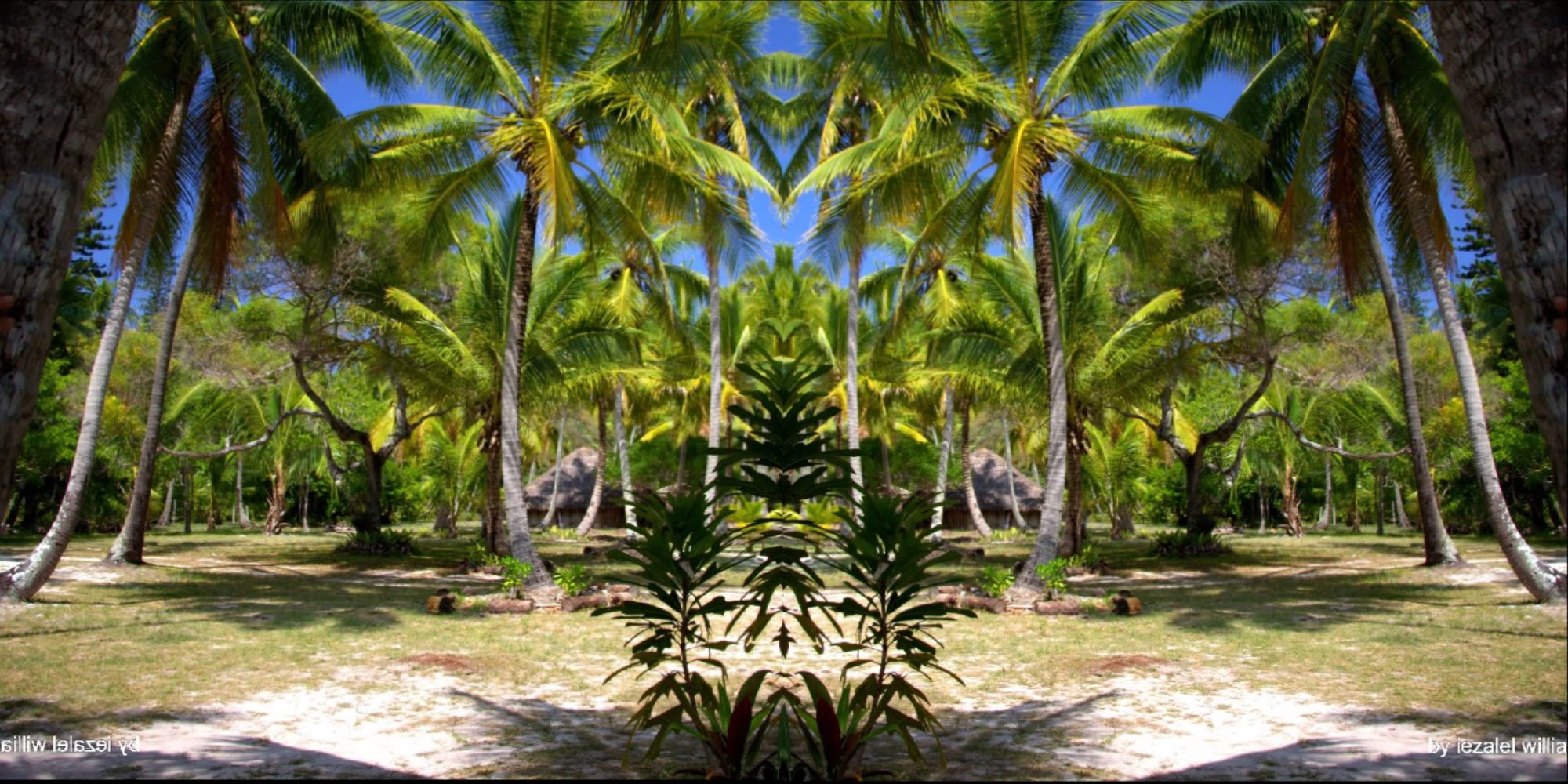 Solar de 2,500 m² con vista a la bahía en Las Terrenas